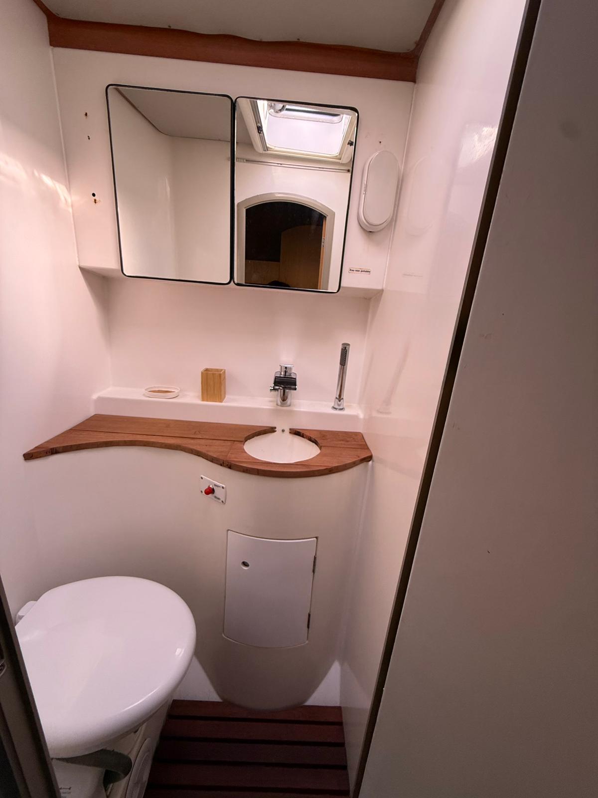 une salle de bain avec wc électrique par cabine double